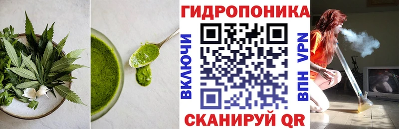 даркнет сайт  Печора  OMG   Cannafood конопля 