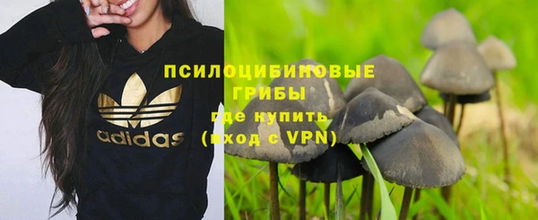 героин Белокуриха